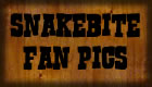 Fans